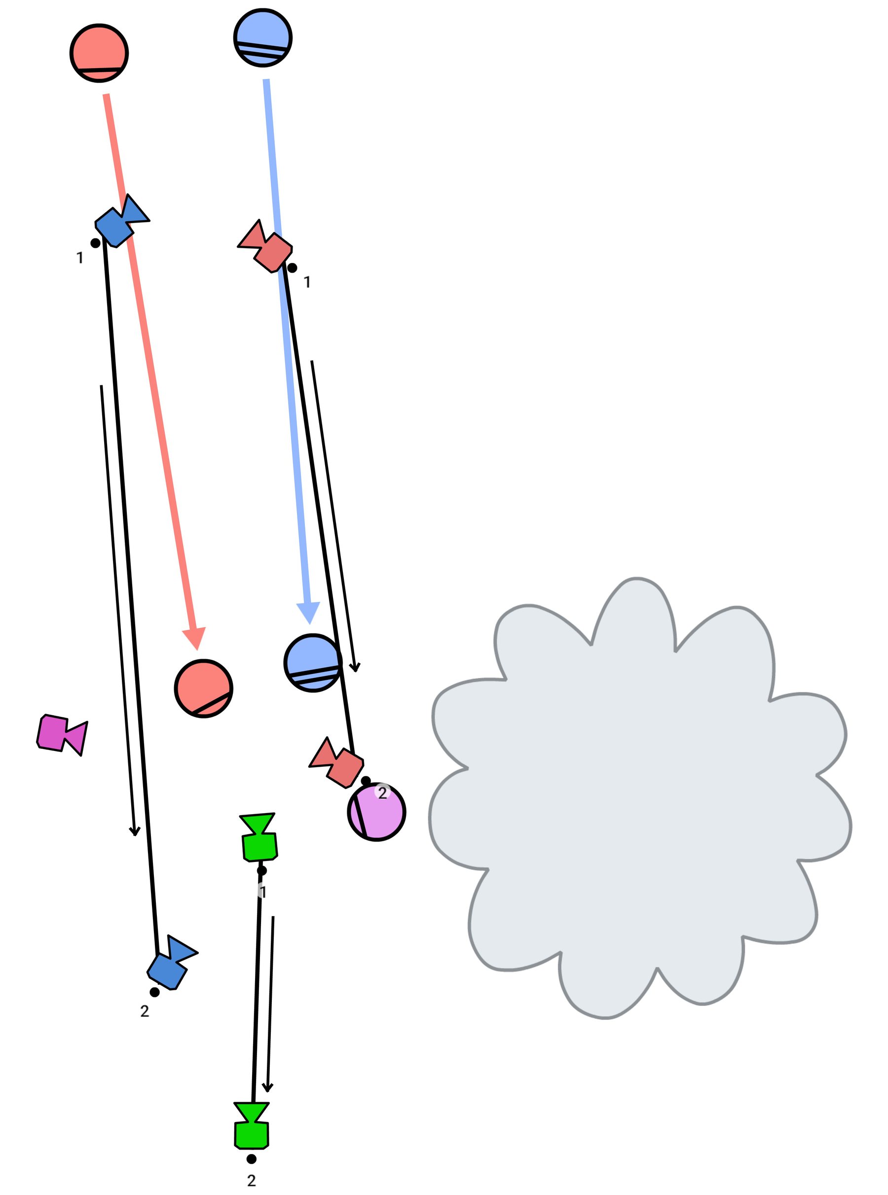 Plan de sol de la séquence 3 (sentier)